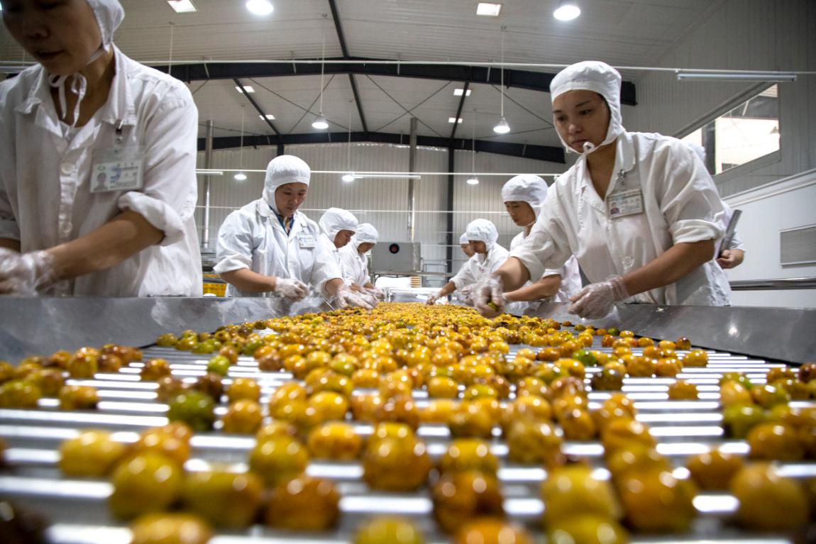 堅(jiān)守綠色初心，鑄就品質(zhì)傳奇——揭秘一家企業(yè)如何讓產(chǎn)品連續(xù)24年通過(guò)“綠色食品”認(rèn)證