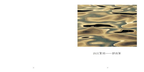 中央美術(shù)學(xué)院城市設(shè)計(jì)學(xué)院工藝美術(shù)與材料實(shí)施網(wǎng)絡(luò)教學(xué)成果展 電腦動(dòng)畫(huà)設(shè)計(jì)篇